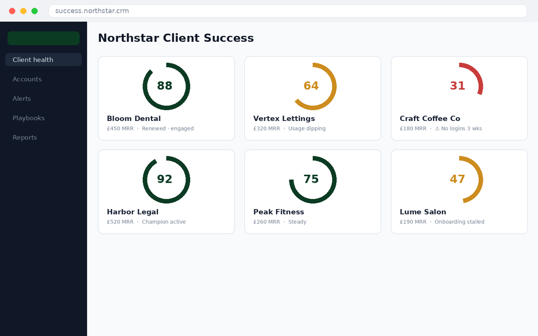 Northstar — Client Success CRM — main screenshot